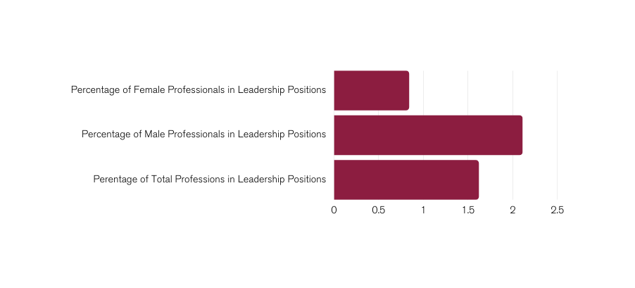Bar graph showing gap in women professionals in leadership: Percentage of Female Professionals in Leadership Positions .84%, Percentage of Male Professionals in Leadership Positions 2.11%, Perentage of Total Professions in Leadership Positions 1.62%