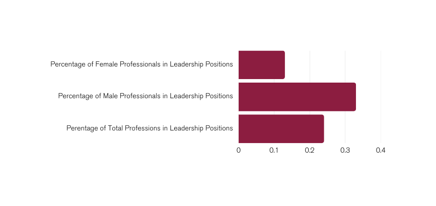 Percentage of Female Professionals in Leadership Positions .13, Percentage of Male Professionals in Leadership Positions .33, Perentage of Total Professions in Leadership Positions .24